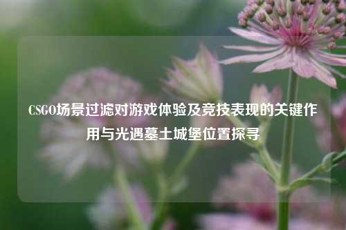 CSGO场景过滤对游戏体验及竞技表现的关键作用与光遇墓土城堡位置探寻