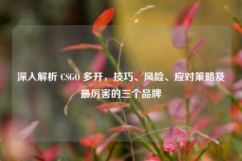 深入解析 CSGO 多开，技巧、风险、应对策略及最厉害的三个品牌