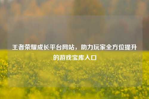 王者荣耀成长平台网站，助力玩家全方位提升的游戏宝库入口