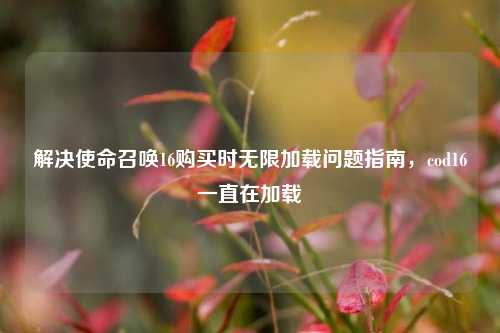解决使命召唤16购买时无限加载问题指南，cod16一直在加载