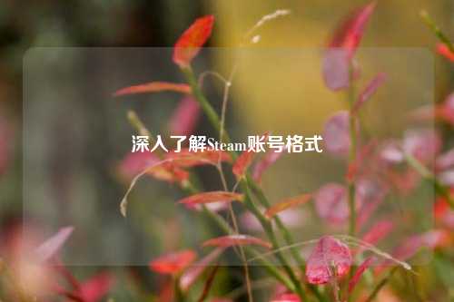 深入了解Steam账号格式
