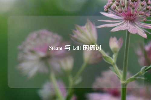 Steam 与 l.dll 的探讨