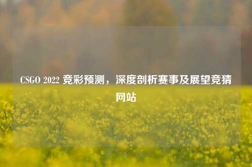 CSGO 2022 竞彩预测，深度剖析赛事及展望竞猜网站