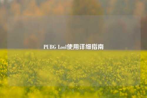 PUBG Lool使用详细指南