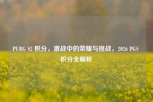 PUBG S2 积分，激战中的荣耀与挑战，2026 PGS 积分全解析