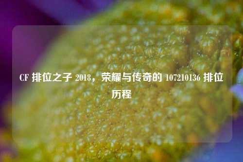 CF 排位之子 2018，荣耀与传奇的 107210136 排位历程