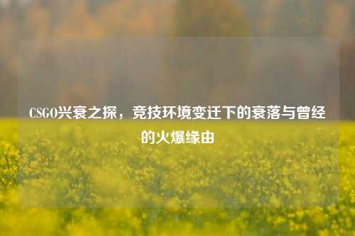 CSGO兴衰之探，竞技环境变迁下的衰落与曾经的火爆缘由