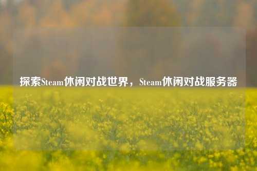 探索Steam休闲对战世界，Steam休闲对战服务器