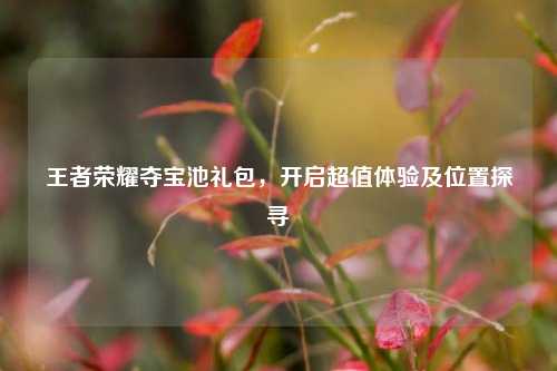 王者荣耀夺宝池礼包，开启超值体验及位置探寻