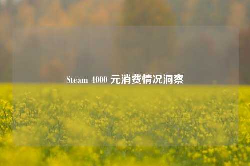 Steam 4000 元消费情况洞察