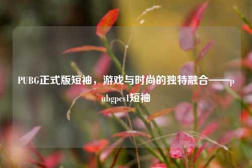 PUBG正式版短袖，游戏与时尚的独特融合——pubgpcs1短袖