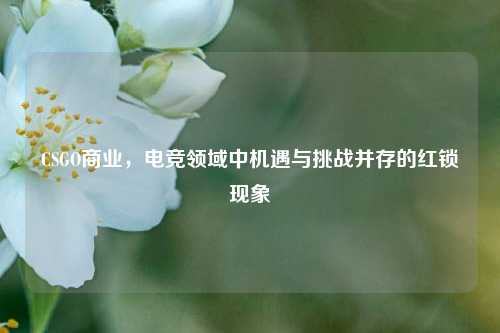 CSGO商业，电竞领域中机遇与挑战并存的红锁现象
