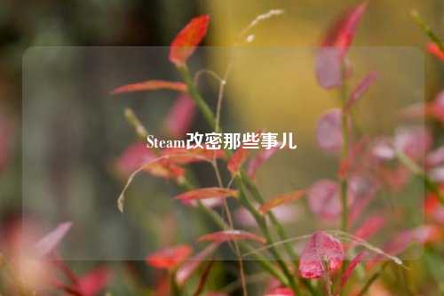 Steam改密那些事儿