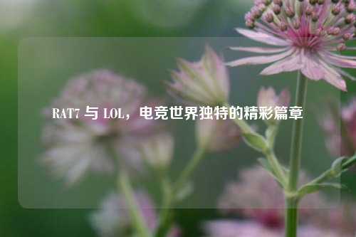 RAT7 与 LOL，电竞世界独特的精彩篇章