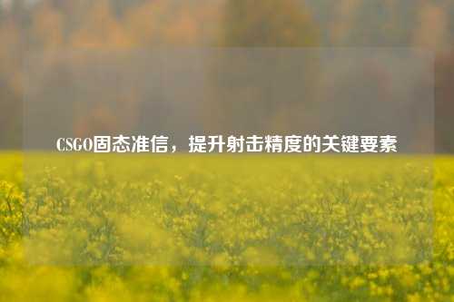 CSGO固态准信，提升射击精度的关键要素