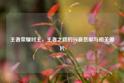 王者荣耀纣王，王者之路的兴衰悲歌与相关图片