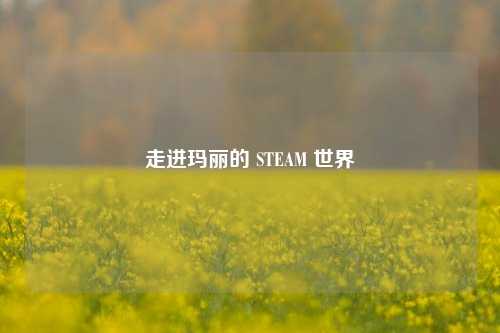 走进玛丽的 STEAM 世界