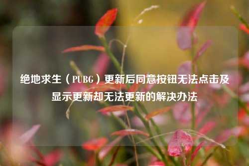 绝地求生（PUBG）更新后同意按钮无法点击及显示更新却无法更新的解决办法