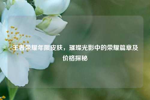 王者荣耀年限皮肤，璀璨光影中的荣耀篇章及价格探秘
