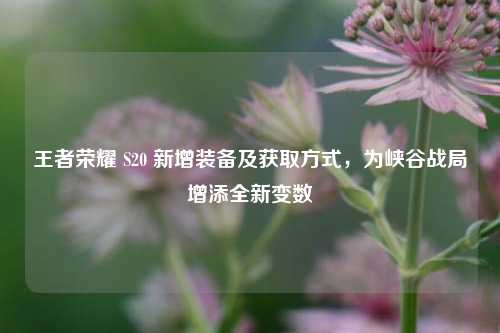 王者荣耀 S20 新增装备及获取方式，为峡谷战局增添全新变数