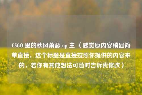 CSGO 里的秋风萧瑟 up 主 （感觉原内容稍显简单直接，这个标题是直接按照你提供的内容来的，若你有其他想法可随时告诉我修改）