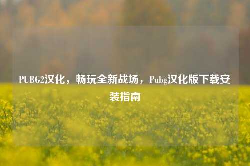 PUBG2汉化，畅玩全新战场，Pubg汉化版下载安装指南