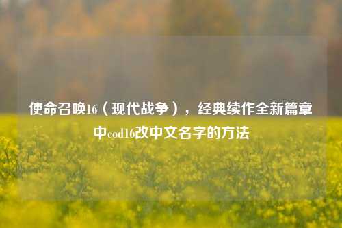 使命召唤16（现代战争），经典续作全新篇章中cod16改中文名字的方法