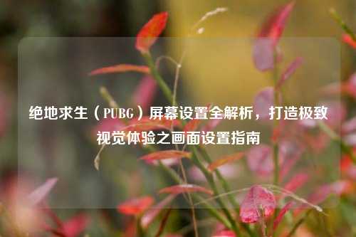 绝地求生（PUBG）屏幕设置全解析，打造极致视觉体验之画面设置指南