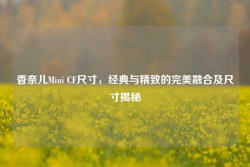 香奈儿Mini CF尺寸，经典与精致的完美融合及尺寸揭秘