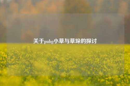 关于pubg小草与草垛的探讨