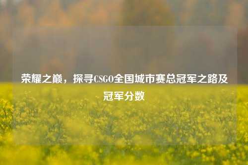荣耀之巅，探寻CSGO全国城市赛总冠军之路及冠军分数
