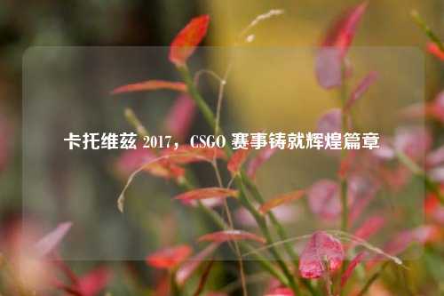 卡托维兹 2017，CSGO 赛事铸就辉煌篇章