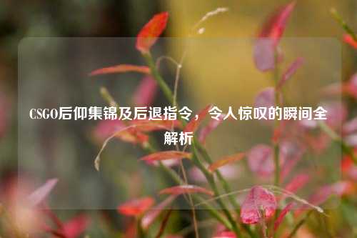 CSGO后仰集锦及后退指令，令人惊叹的瞬间全解析