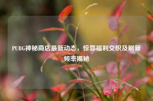 PUBG神秘商店最新动态，惊喜福利交织及刷新频率揭秘