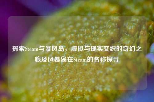探索Steam与暴风岛,虚拟与现实交织的奇幻之旅及风暴岛在Steam的名称探寻