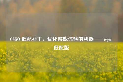 CSGO 低配补丁,优化游戏体验的利器——csgo 低配版