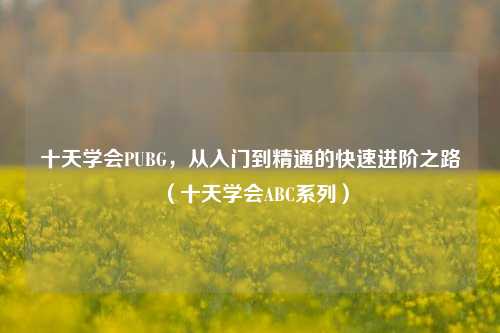 十天学会PUBG，从入门到精通的快速进阶之路（十天学会ABC系列）