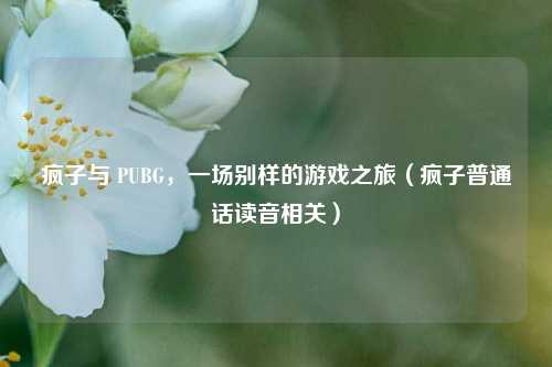 疯子与 PUBG，一场别样的游戏之旅（疯子普通话读音相关）