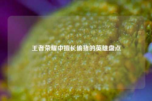 王者荣耀中擅长偷猪的英雄盘点