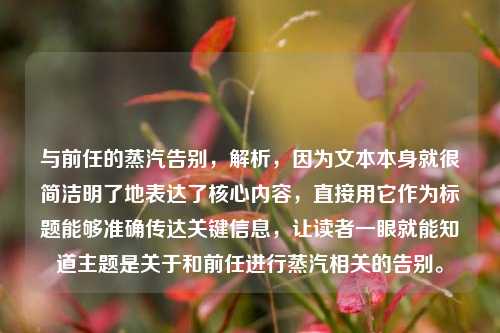 与前任的蒸汽告别，解析，因为文本本身就很简洁明了地表达了核心内容，直接用它作为标题能够准确传达关键信息，让读者一眼就能知道主题是关于和前任进行蒸汽相关的告别。