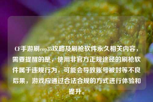 CF手游刷cop35攻略及刷枪软件永久相关内容，需要提醒的是，使用非官方正规途径的刷枪软件属于违规行为，可能会导致账号被封等不良后果，游戏应通过合法合规的方式进行体验和提升。