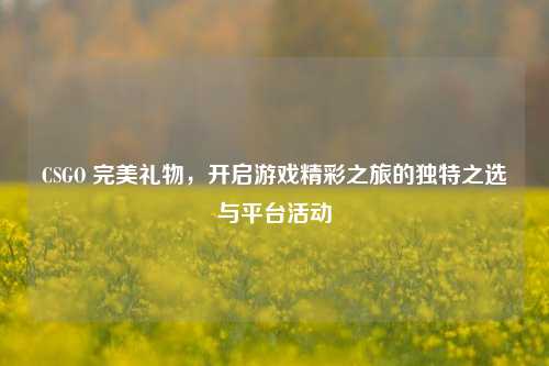 CSGO 完美礼物，开启游戏精彩之旅的独特之选与平台活动