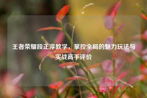 王者荣耀段正淳教学，掌控全局的魅力玩法与实战高手评价
