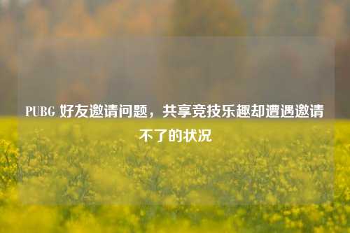 PUBG 好友邀请问题，共享竞技乐趣却遭遇邀请不了的状况