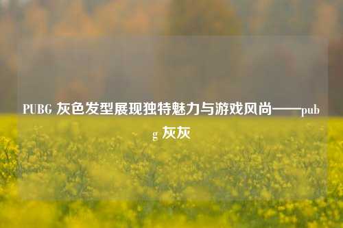 PUBG 灰色发型展现独特魅力与游戏风尚——pubg 灰灰