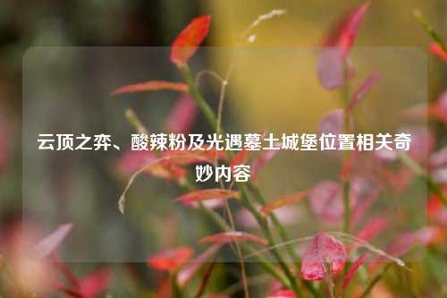 云顶之弈、酸辣粉及光遇墓土城堡位置相关奇妙内容