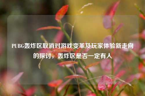 PUBG轰炸区取消对游戏变革及玩家体验新走向的探讨，轰炸区是否一定有人