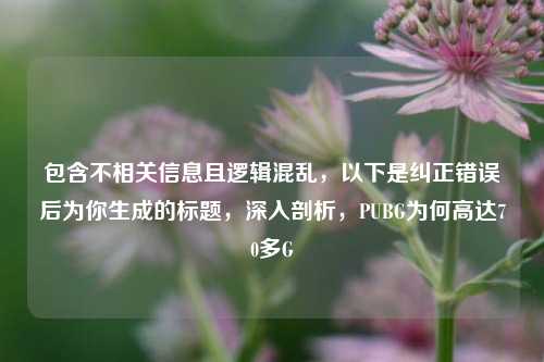 包含不相关信息且逻辑混乱，以下是纠正错误后为你生成的标题，深入剖析，PUBG为何高达70多G