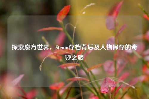 探索魔方世界，Steam存档背后及人物保存的奇妙之旅