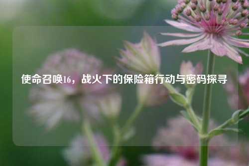 使命召唤16，战火下的保险箱行动与密码探寻